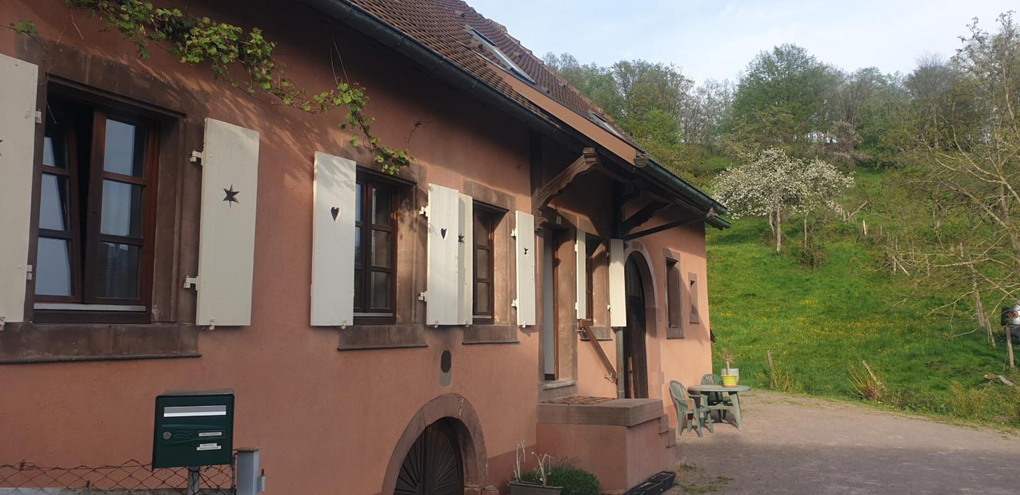 Apartament La Fermette Vosgienne De La Goutte Steige Zewnętrze zdjęcie