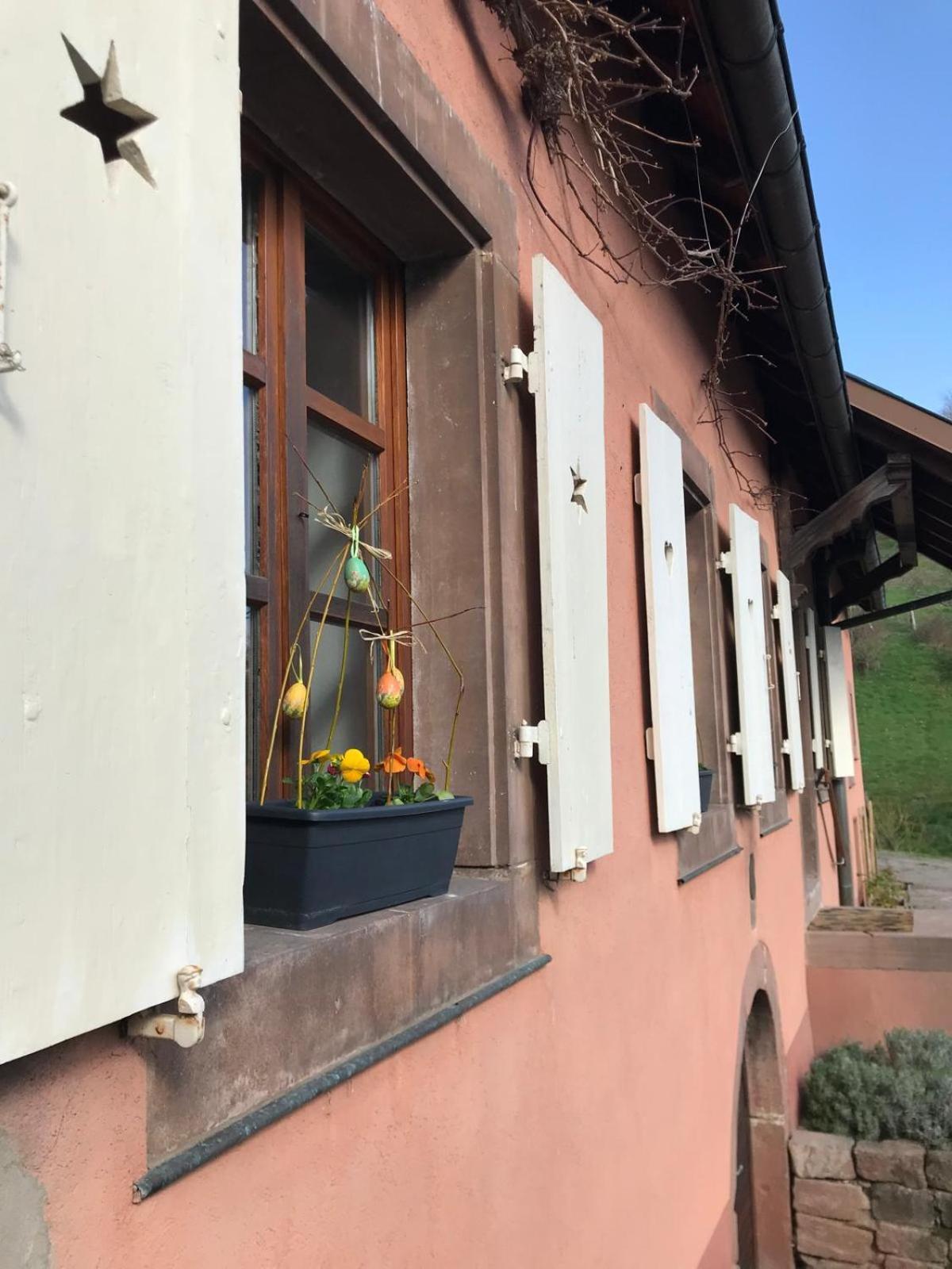 Apartament La Fermette Vosgienne De La Goutte Steige Zewnętrze zdjęcie