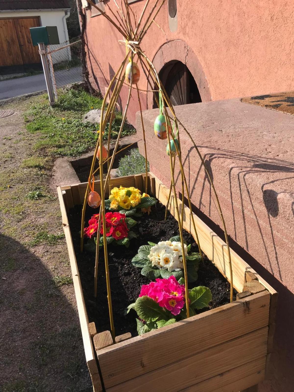 Apartament La Fermette Vosgienne De La Goutte Steige Zewnętrze zdjęcie